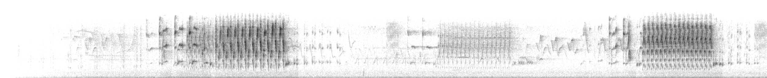 Troglodyte des marais (groupe palustris) - ML162667351