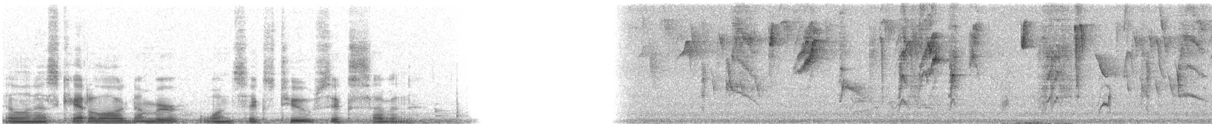 Violaceous Euphonia - ML16267