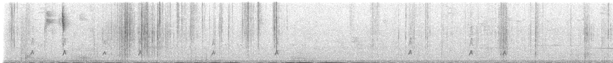 Белокрылая эспаньола - ML162713081