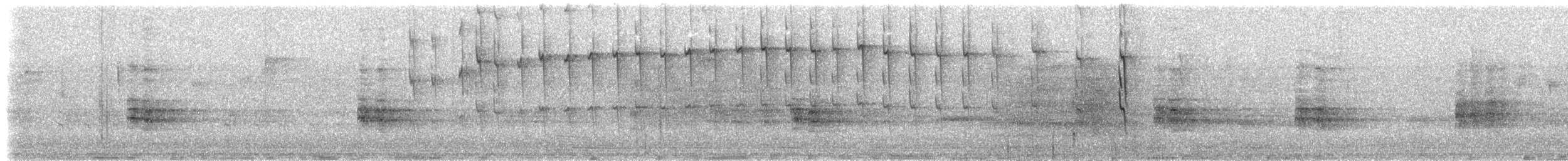 Серогрудая эспаньола - ML162713521