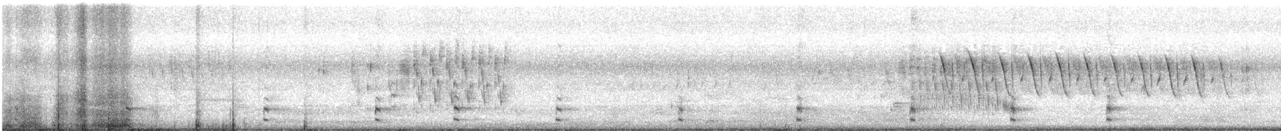 Common Gallinule - ML162735741