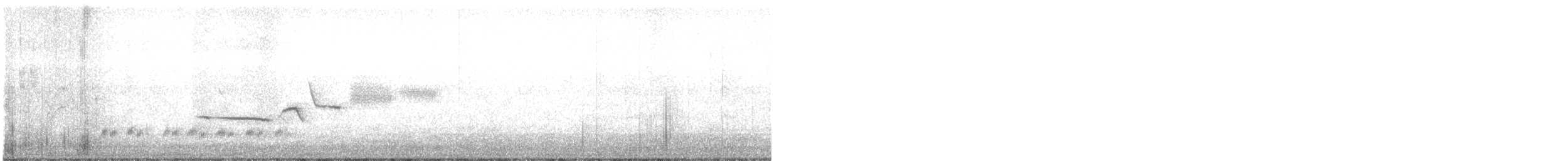 Bruant à couronne blanche (gambelii) - ML162740201