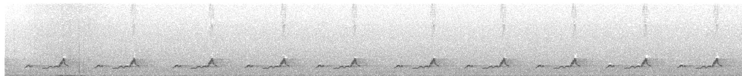 Schwarzkehl-Nachtschwalbe - ML162744731
