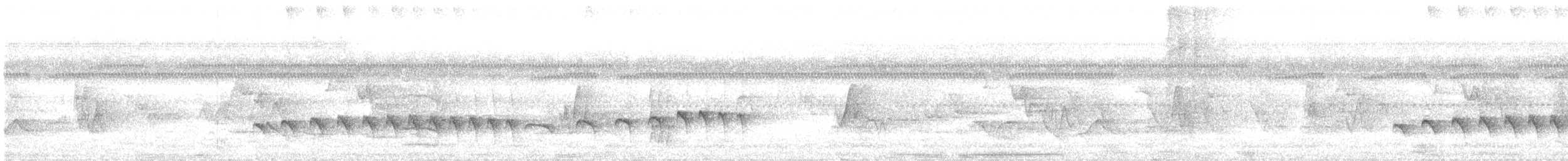 tinnmaurfugl - ML162747001