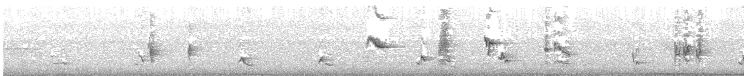 Pájaro Gato Gris - ML162747231