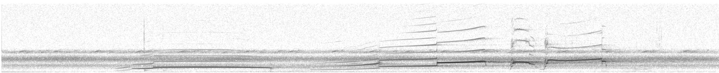 Plongeon huard - ML162747371