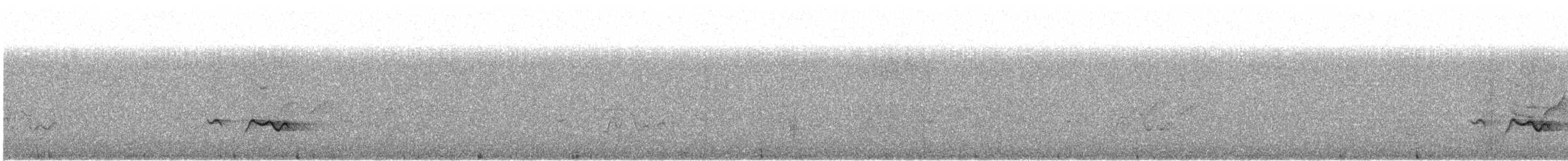 hvitskjegglattertrost - ML162786761