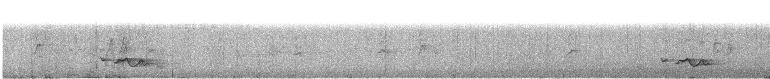 hvitskjegglattertrost - ML162791351