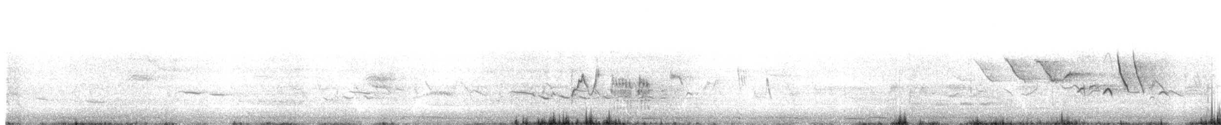 Caribbean Elaenia - ML162799841