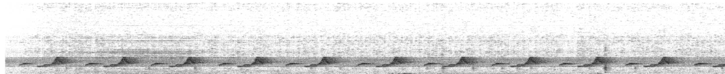 Schwarzkehl-Nachtschwalbe - ML162825871