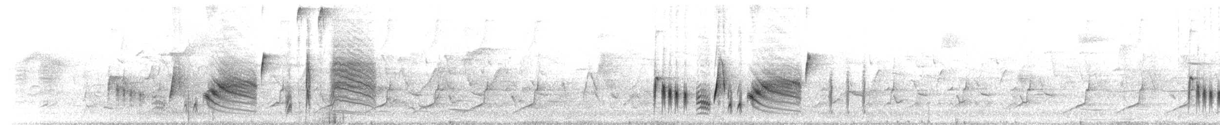 White-eyed Vireo - ML162841161