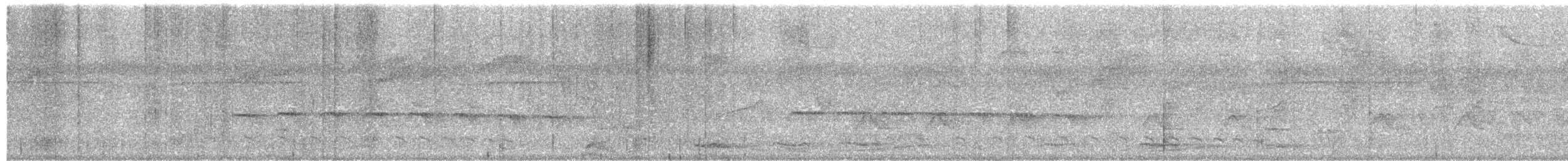 Zeledon Karıncakuşu - ML162848951