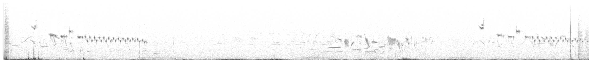 Прерийная овсянка-барсучок - ML162849741