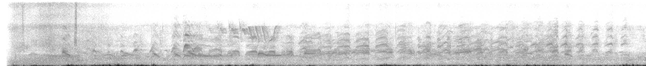 ボナパルトカモメ - ML162854551