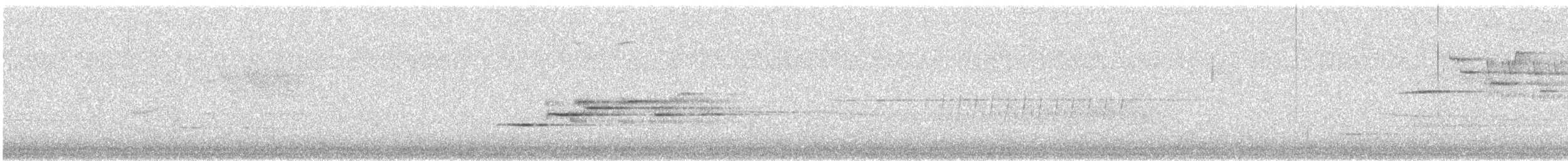 Дрізд-короткодзьоб плямистоволий - ML162881051