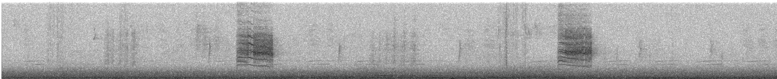 Тауї плямистий - ML162881621
