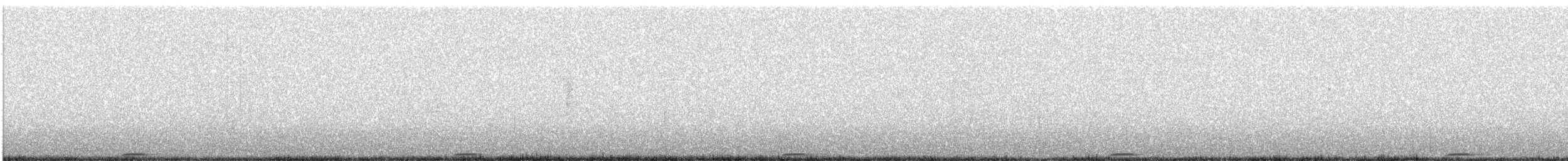 Flammulated Owl - ML162909861