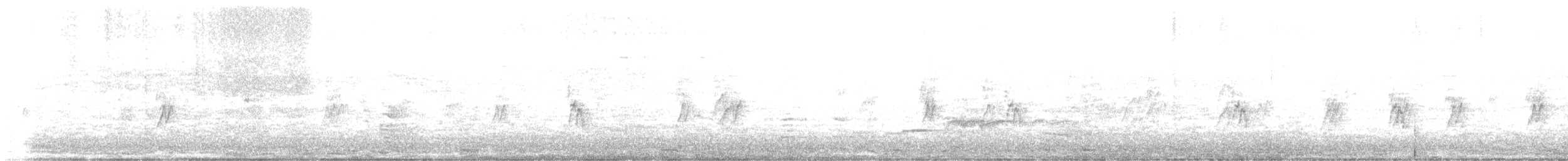 vlaštovka skalní - ML162922031