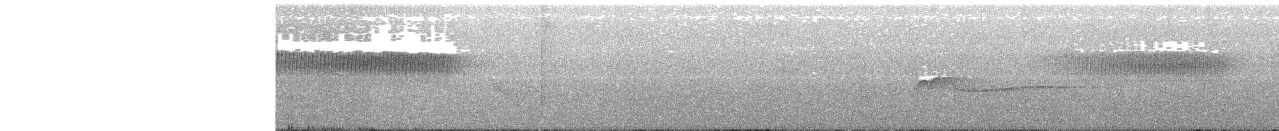 Paruline vermivore - ML162959741