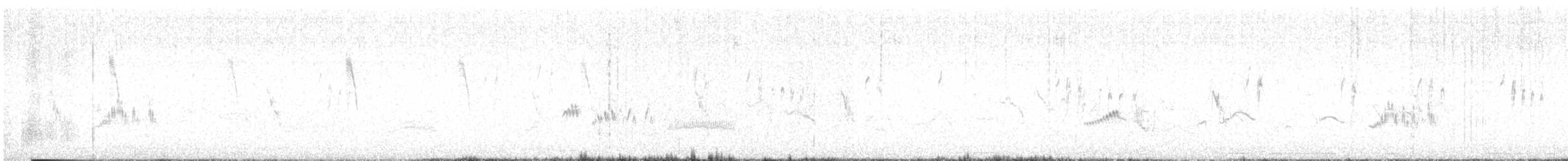 hekkskvett (galactotes gr.) - ML162965381