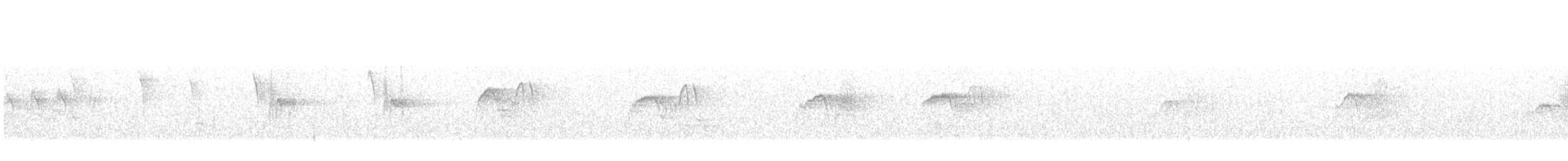 Weißbauch-Phoebetyrann - ML162982941