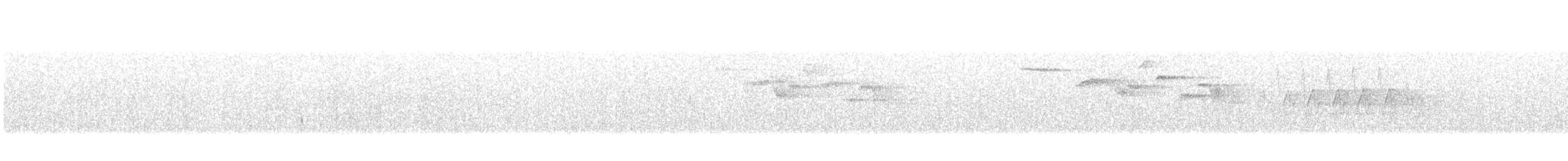 Amerikabaumläufer - ML162985371