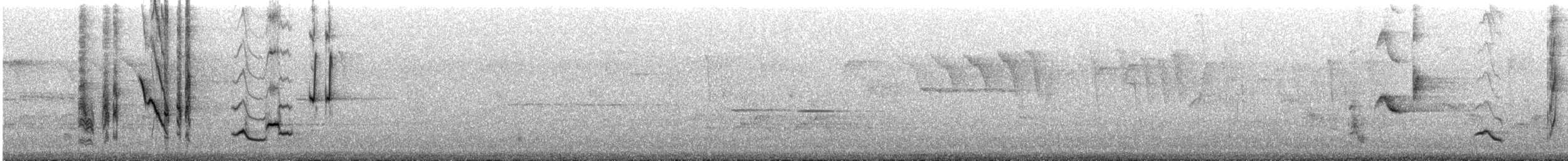 Pájaro Gato Gris - ML162987801