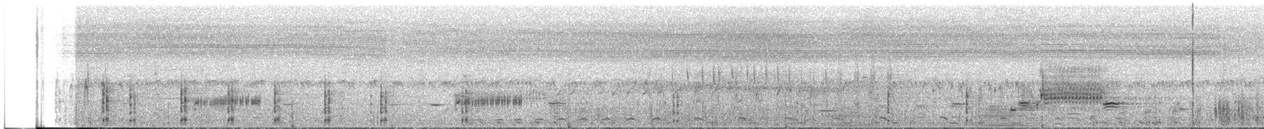 Least Bittern - ML163015711