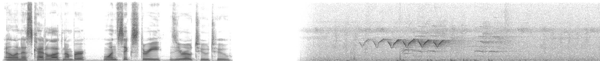 オオヒメコノハドリ - ML163022