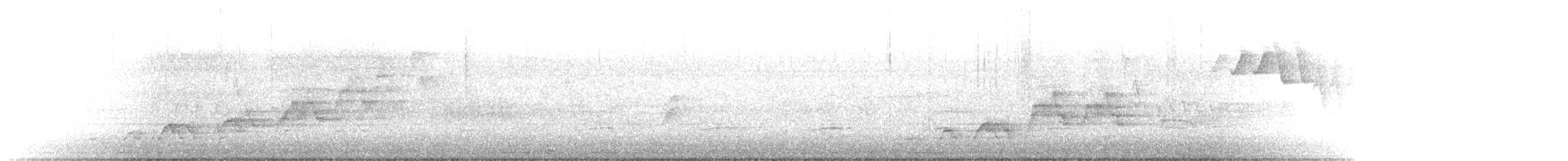 Swainson's Thrush - ML163039141