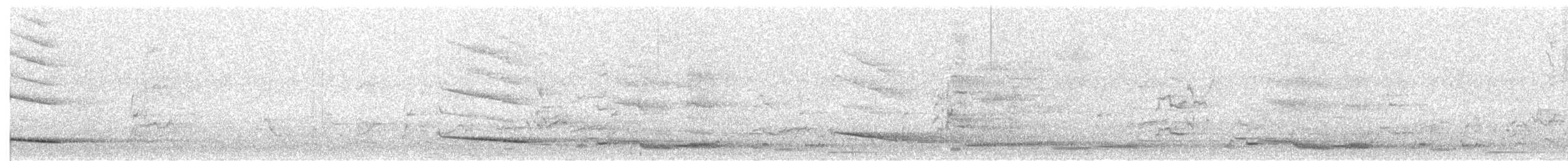 Australian Magpie (White-backed) - ML163048211