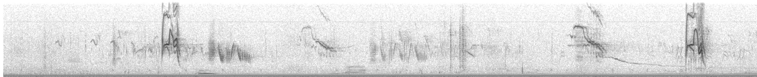 Rock Sparrow - ML163056941