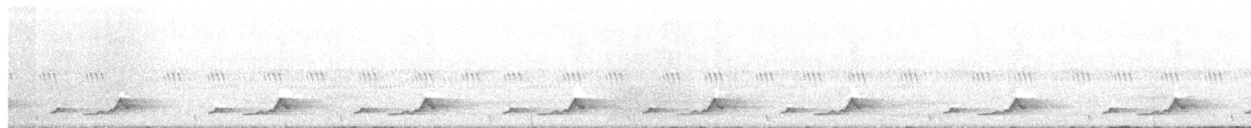Schwarzkehl-Nachtschwalbe - ML163081421
