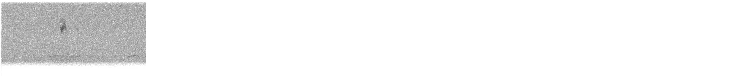 Black-and-white Warbler - ML163092731