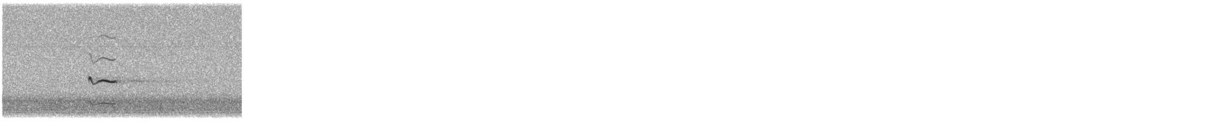 Killdeer - ML163093101