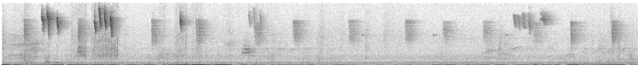 Hispaniolan Spindalis - ML163111401