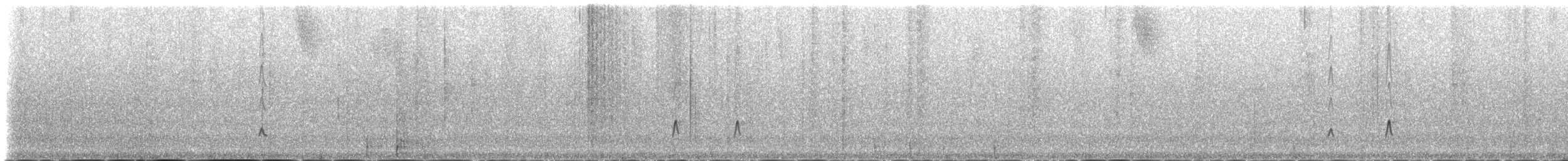 Hispaniolan Pewee - ML163112571