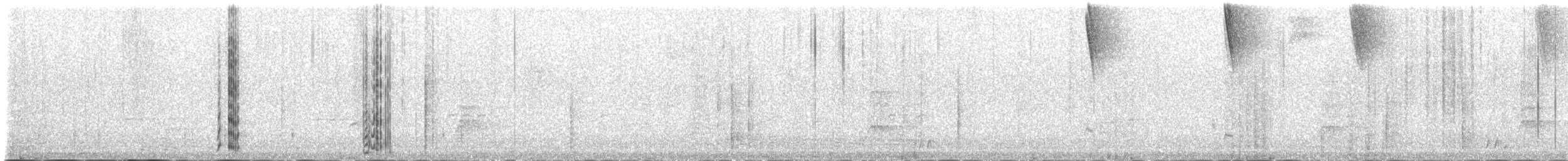 aratinga jamajský (ssp. nana) - ML163113031