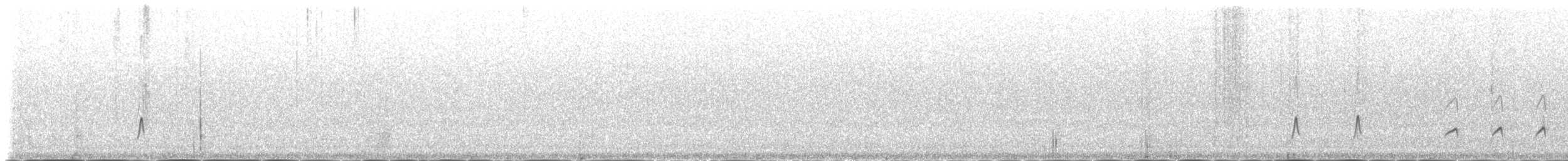 Hispaniolan Pewee - ML163114141