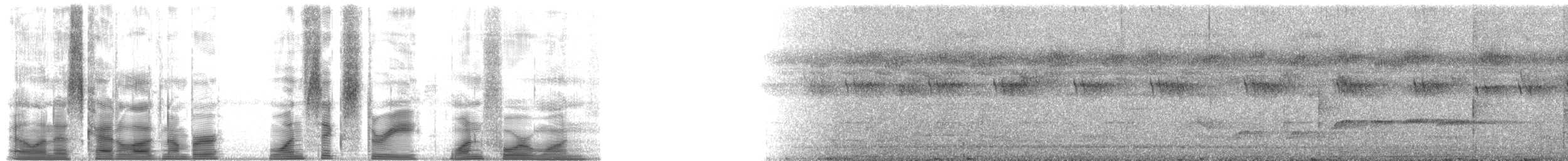 Chevêchette cuculoïde - ML163141