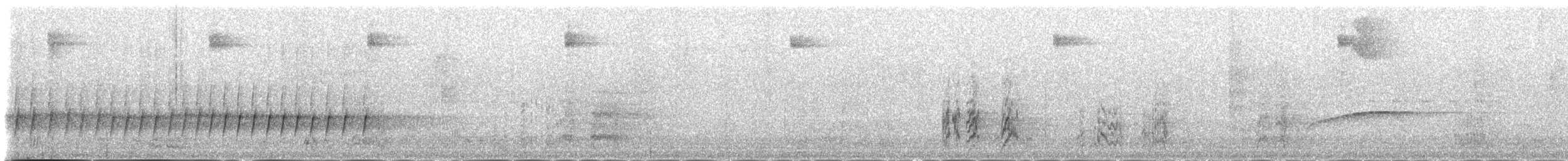 Антильский тиранн (gabbii) - ML163144271