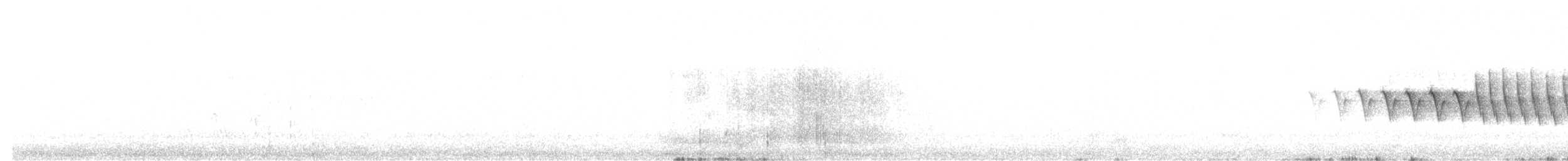 Grace's Warbler - ML163183291