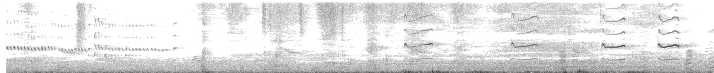 Kildir txirritxoa - ML163190651