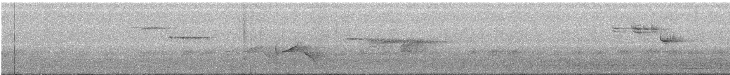 Снежнобровая мухоловка - ML163235361