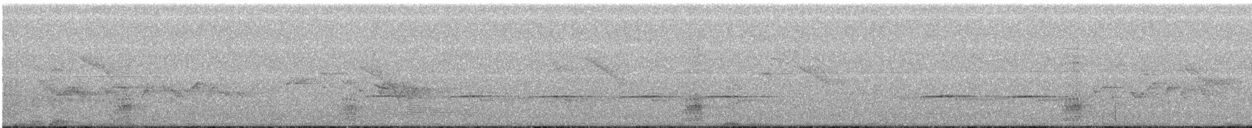 ořešník kropenatý - ML163235811