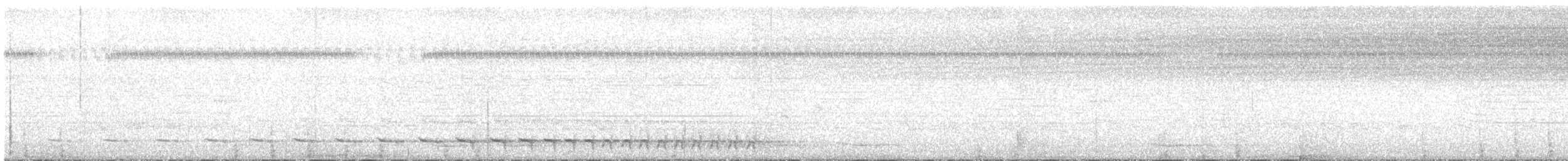 White-tailed Trogon - ML163251841