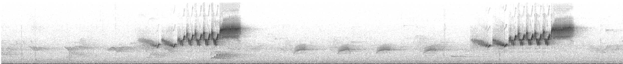 Cerulean Warbler - ML163255381