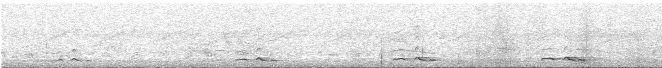 Зозуля білогорла - ML163257041