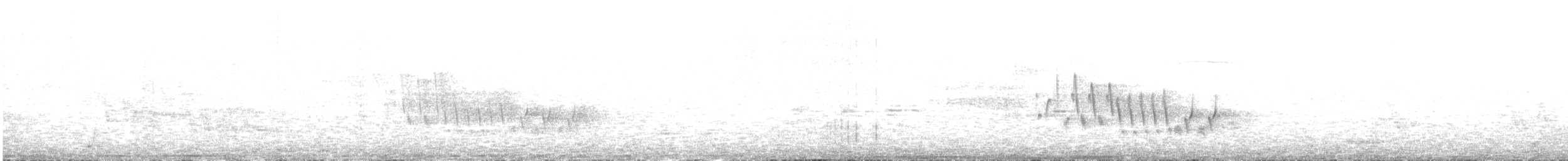 Northern House Wren - ML163263221