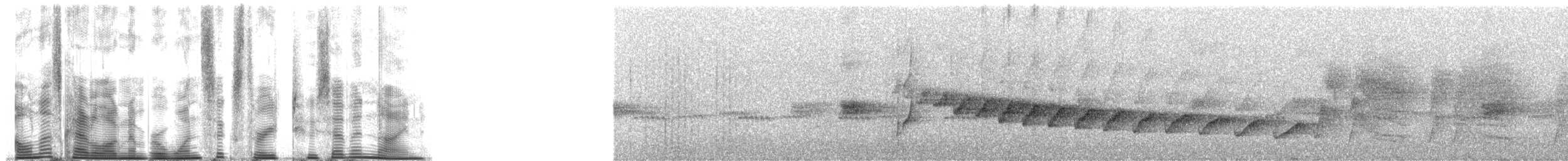 Western Flycatcher (Cordilleran) - ML163279